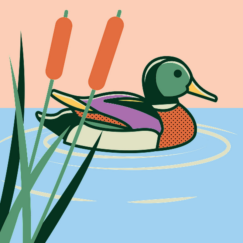 Kênh Số Miền Bắc