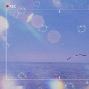뮤직플리