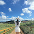 56hiiW1j5nM-channel-avatar-영도리 Young-Dori