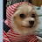 @Animal-o6x