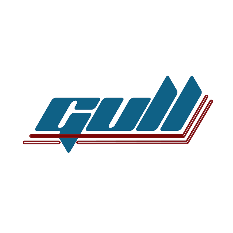 GULL FPV