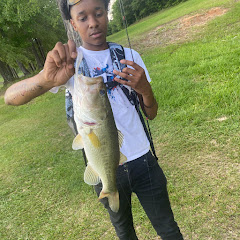 La_stepper74