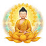 Zr-GGKH4OWg-channel-avatar-Dhamma Log