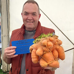 Terry King's Allotment Gardening On A Budget Avatar