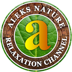 Aleks Travel & Adventures channel thumbnail