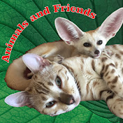 Animals and Friends