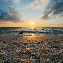 10時間音チャンネルアイコン画像