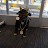 Avatar photo
