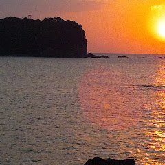 和歌山出戻りYouTuber(仮)アイコン画像