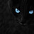 @sy20000 Avatar
