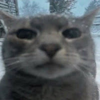 Vortex (onyx) profile image