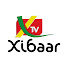 _GFsp38K6Vw-channel-avatar-Xibaartv