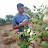 MANOJ ORGANIC FARMER