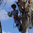 @IcutTrees Avatar