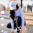 @نورستالبنات-ف5خ