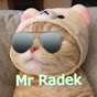 Mr. Radek