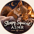 -psgDMQhz3c-channel-avatar-Sleepy Squirrel ASMR