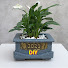 KLDdH1eW1SU-channel-avatar-Creative Cement Ideas