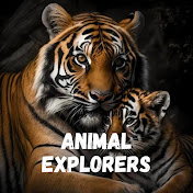 AnimalExplorers
