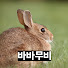 UjSHOnbu3E4-channel-avatar-바바무비
