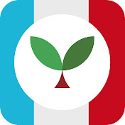 Seedlang: Learn French Faster