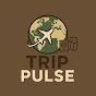 Trip Pulse logo
