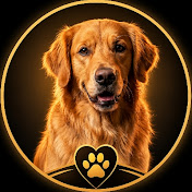 The Loyal Dog