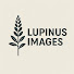 N-PNnLwYRO0-channel-avatar-Lupinus Images