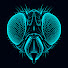 _FvHS2JTfhE-channel-avatar-Insects Explained