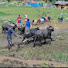 u2Y3RJRAe_c-channel-avatar-Village show for nepal