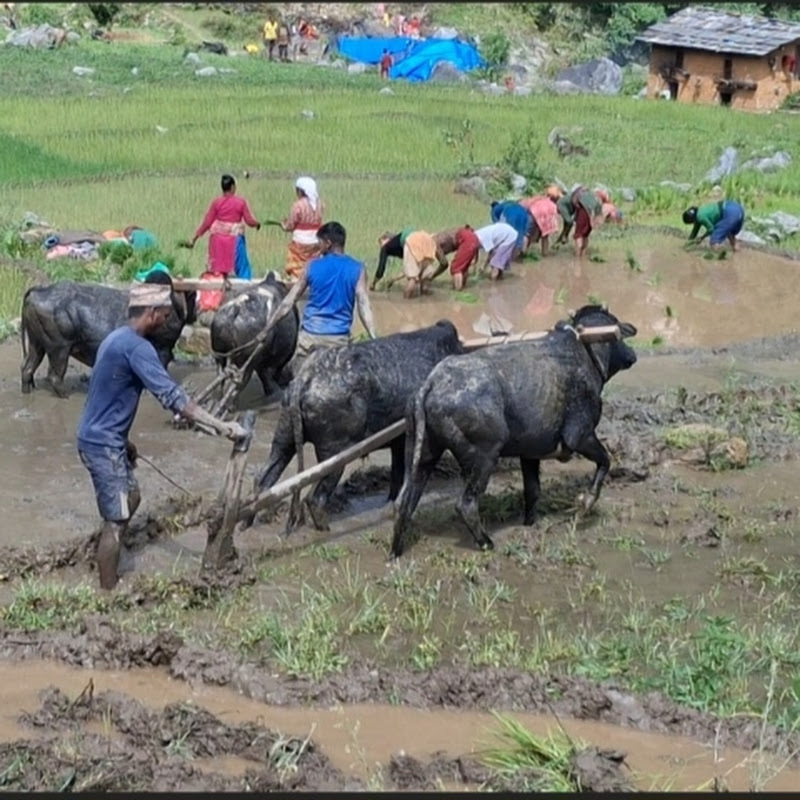 Village show for nepal