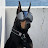 @LuisAlejandroCaballero474's avatar