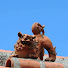 BHbhX2peCAA-channel-avatar-Evgeny Rybin