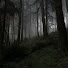 Hn11vCZa9BM-channel-avatar-Mistérios da Floresta