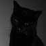 127PIt_9vOA-channel-avatar-AlphaBey