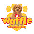 Td8BeK2NYTc-channel-avatar-Waffle The Wonder Dog 