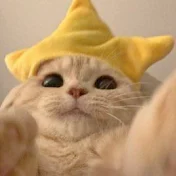 bananacat