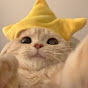 bananacat Avatar