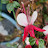 @Mong58ya