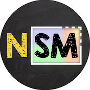 Non-Standard Models