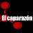 El caparazón