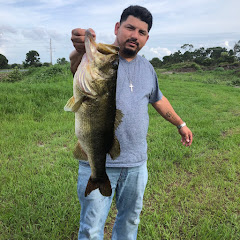 Jonah fish 318