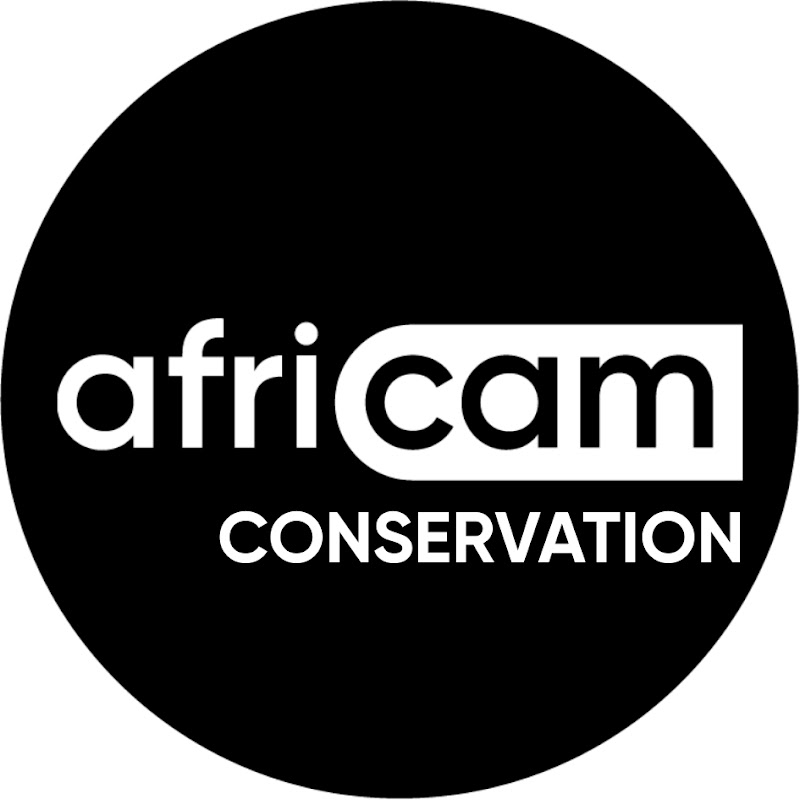 Africam Conservation logo