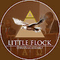 Little Flock Christian Assembly Onitsha logo