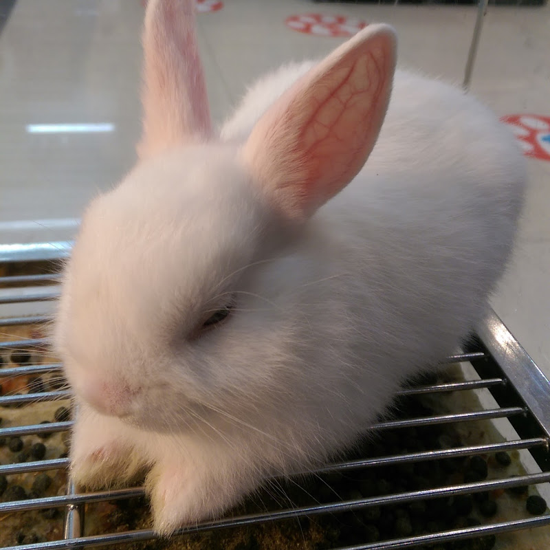 Claude Code 創造者 30 分鐘教你用 Claude Code | Jim AI Notebook