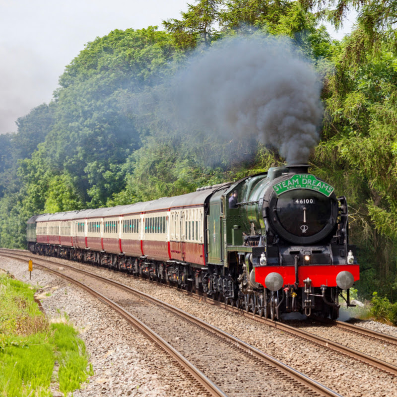The Steam Dreams Rail Co.