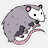 @opinionatedpossum1964