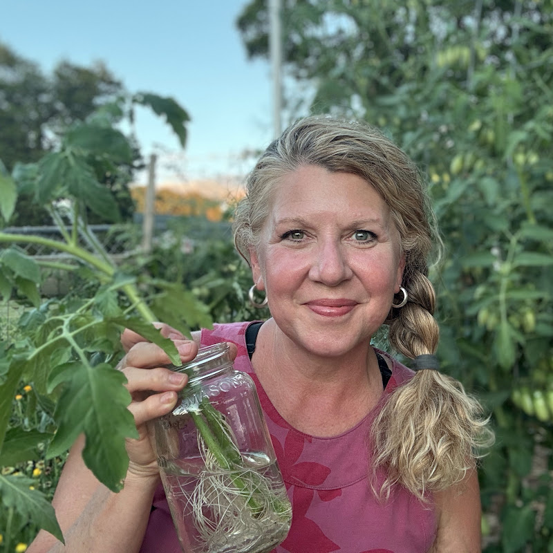 Little Bit a Homestead  Logo