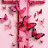Avatar de @nalubegajemimah-c5r