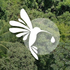 Iracambi Rainforest Brazil